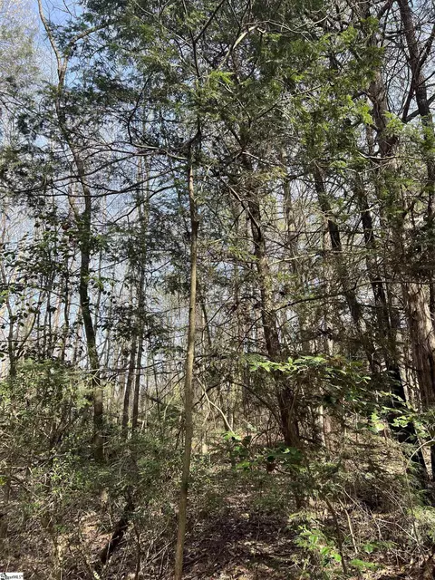 Tract 2 Old Bethlehem School Road, Pickens, SC 29671 photo 16