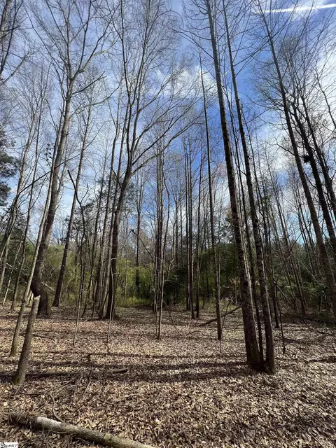 Tract 2 Old Bethlehem School Road, Pickens, SC 29671 photo 13