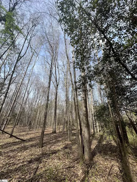 Tract 2 Old Bethlehem School Road, Pickens, SC 29671 photo 6