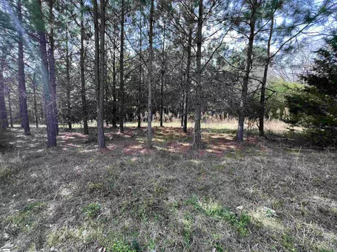 Tract 2 Old Bethlehem School Road, Pickens, SC 29671 photo 4
