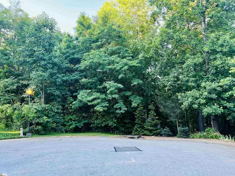 20 Savage Ct, Travelers Rest, SC 29690