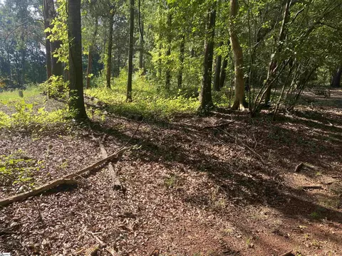 0 Berry Glen Rd, Pelzer, SC 29669