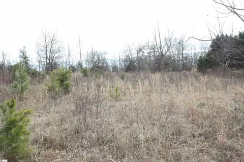 Montgomery Drive, Chesnee, SC 29323