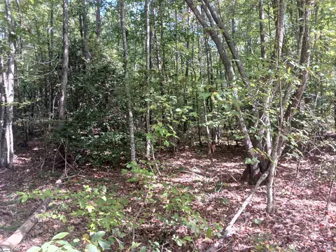 00 Dalton Rd, Marietta, SC 29661