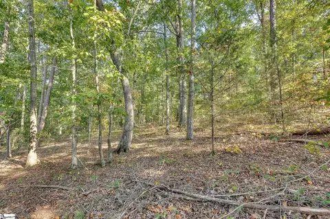 2494 Poole Rd, Greer, SC 29651 photo 9