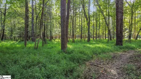 349 Brooks Rd, Honea Path, SC 29654 photo 26