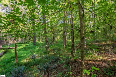 276 Burns Rd, Greer, SC 29651 photo 18