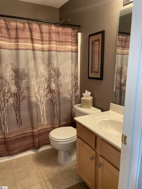 16 Sunfield Ct, Greer, SC 29650 photo 18