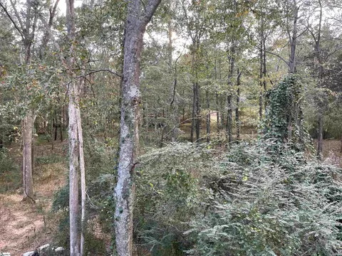 306 Camperdown Ct, Easley, SC 29642 photo 3
