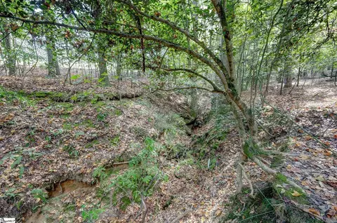 411 Circle Rd, Greer, SC 29651 photo 10