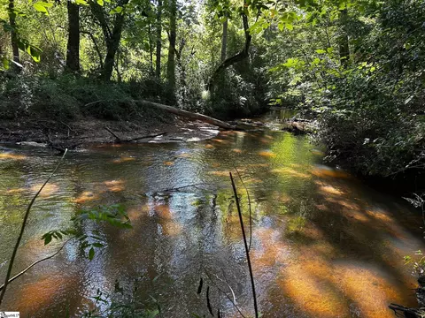 000 Berry Rd, Pelzer, SC 29669 photo 17