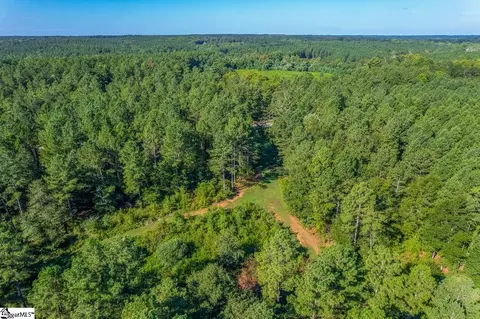 000 Berry Rd, Pelzer, SC 29669 photo 14
