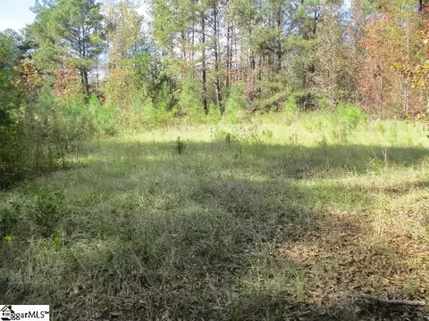 5593 Riverfork Rd, Waterloo, SC 29384 photo 2