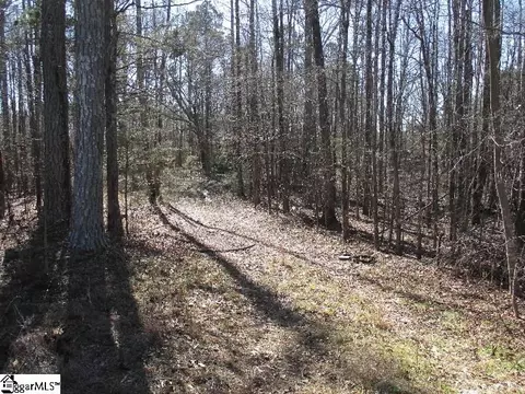 5593 Riverfork Rd, Waterloo, SC 29384 photo 3