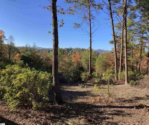 15 White Fox Trl, Marietta, SC 29661