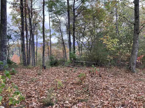 white fox trail LOT 15, Marietta, SC 29661