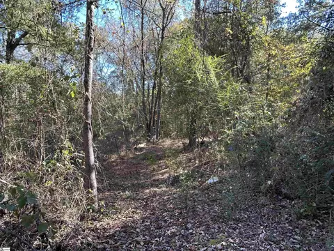 00 Serene Dr, Waterloo, SC 29384