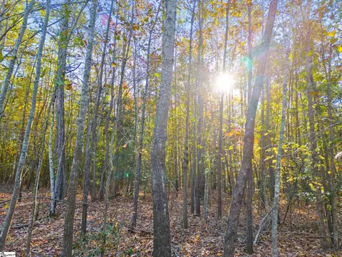 00 Penson Rd, Honea Path, SC 29654 photo 22