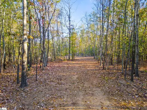 00 Penson Rd, Honea Path, SC 29654 photo 21