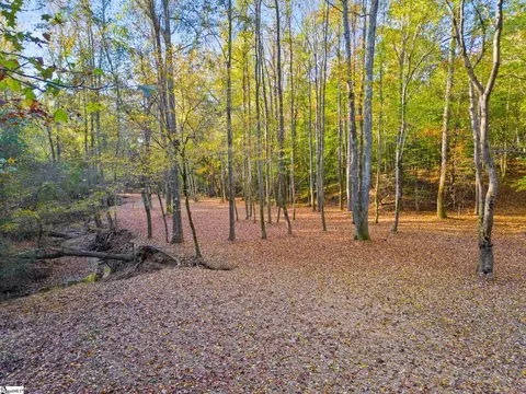 00 Penson Rd, Honea Path, SC 29654 photo 10