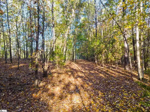 00 Penson Rd, Honea Path, SC 29654 photo 17