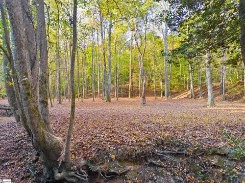 00 Penson Rd, Honea Path, SC 29654 photo 15