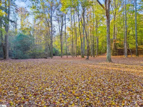 00 Penson Rd, Honea Path, SC 29654 photo 6