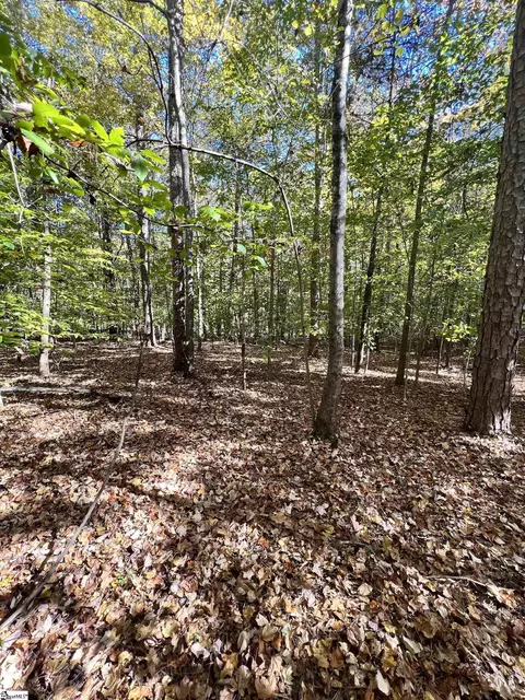 00 Brook Rd, Clinton, SC 29325 photo 8