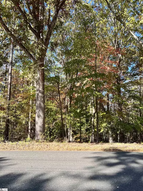 00 Brook Rd, Clinton, SC 29325