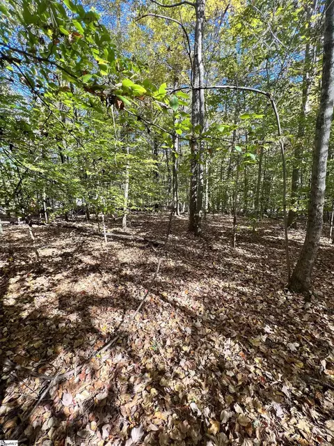 00 Brook Rd, Clinton, SC 29325 photo 9