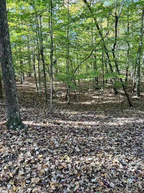 00 Brook Rd, Clinton, SC 29325 photo 6