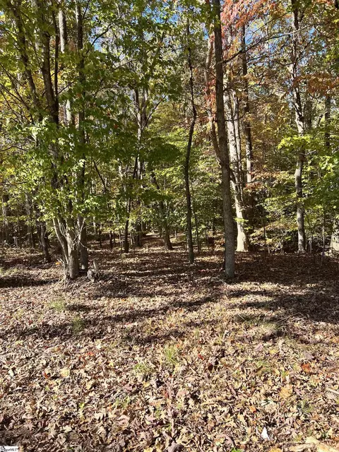 00 Brook Rd, Clinton, SC 29325 photo 11