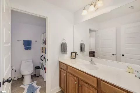 112 Elevation Ct, Greer, SC 29651 photo 25