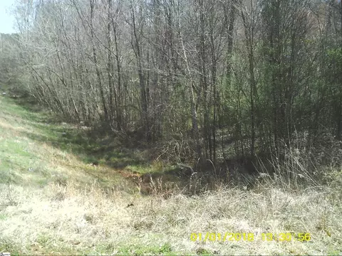 00 Lot 3 Dalton Rd, Marietta, SC 29661