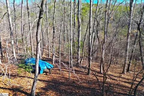 145 Summit Pine Rd, Sunset, SC 29685 photo 9