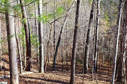 145 Summit Pine Rd, Sunset, SC 29685 photo 18