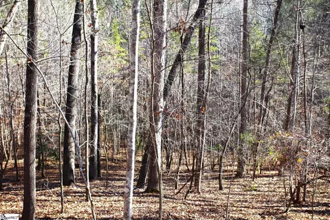 145 Summit Pine Rd, Sunset, SC 29685 photo 19