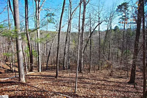 145 Summit Pine Rd, Sunset, SC 29685 photo 16