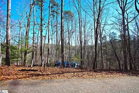 145 Summit Pine Rd, Sunset, SC 29685 photo 10