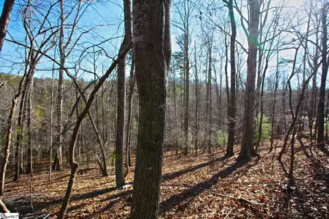 145 Summit Pine Rd, Sunset, SC 29685 photo 14