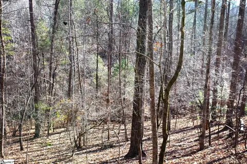145 Summit Pine Rd, Sunset, SC 29685 photo 20