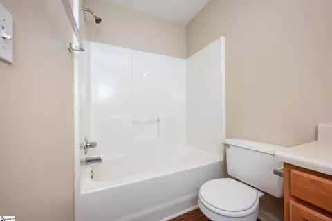 4 Spindleback Way, Greer, SC 29651 photo 18