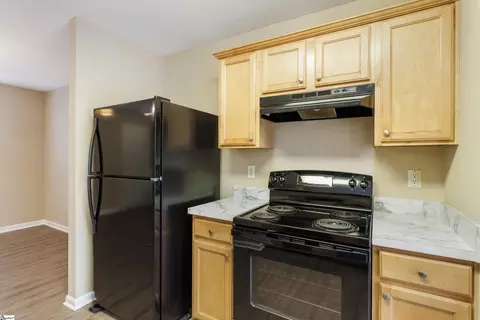 9 Fritzsimons Ct, Greer, SC 29651 photo 13
