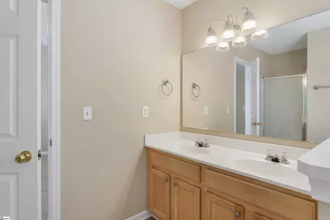 9 Fritzsimons Ct, Greer, SC 29651 photo 22