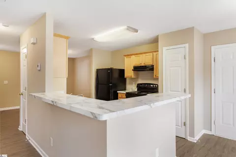 9 Fritzsimons Ct, Greer, SC 29651 photo 11