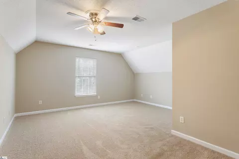 9 Fritzsimons Ct, Greer, SC 29651 photo 25