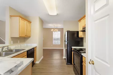 9 Fritzsimons Ct, Greer, SC 29651 photo 12
