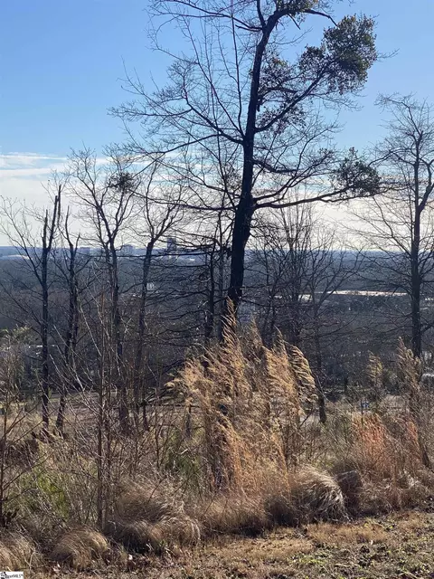 11 Rovello Ct #LOT 456, Greenville, SC 29609