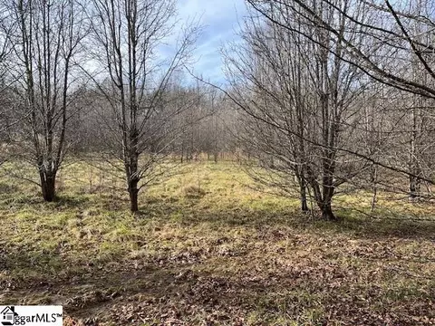 00 Settle Rd #LOT B, Inman, SC 29349 photo 2