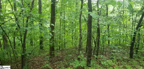 0 Wonderland Range Rd, Cleveland, SC 29635